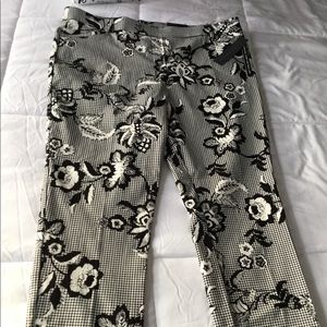 Women’s Pants